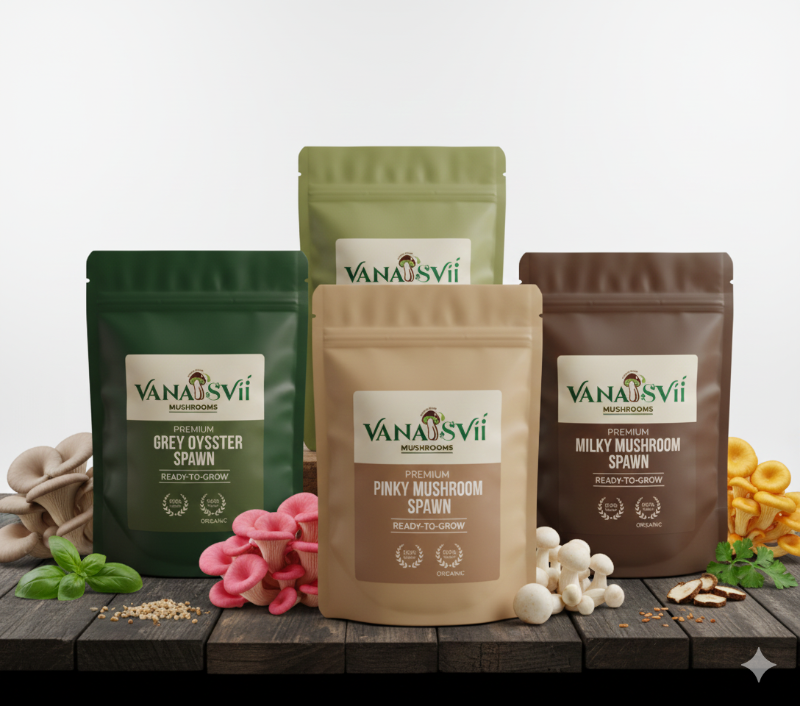 mushroom spawn mushroom seeds